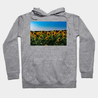 Sunflowers Hoodie